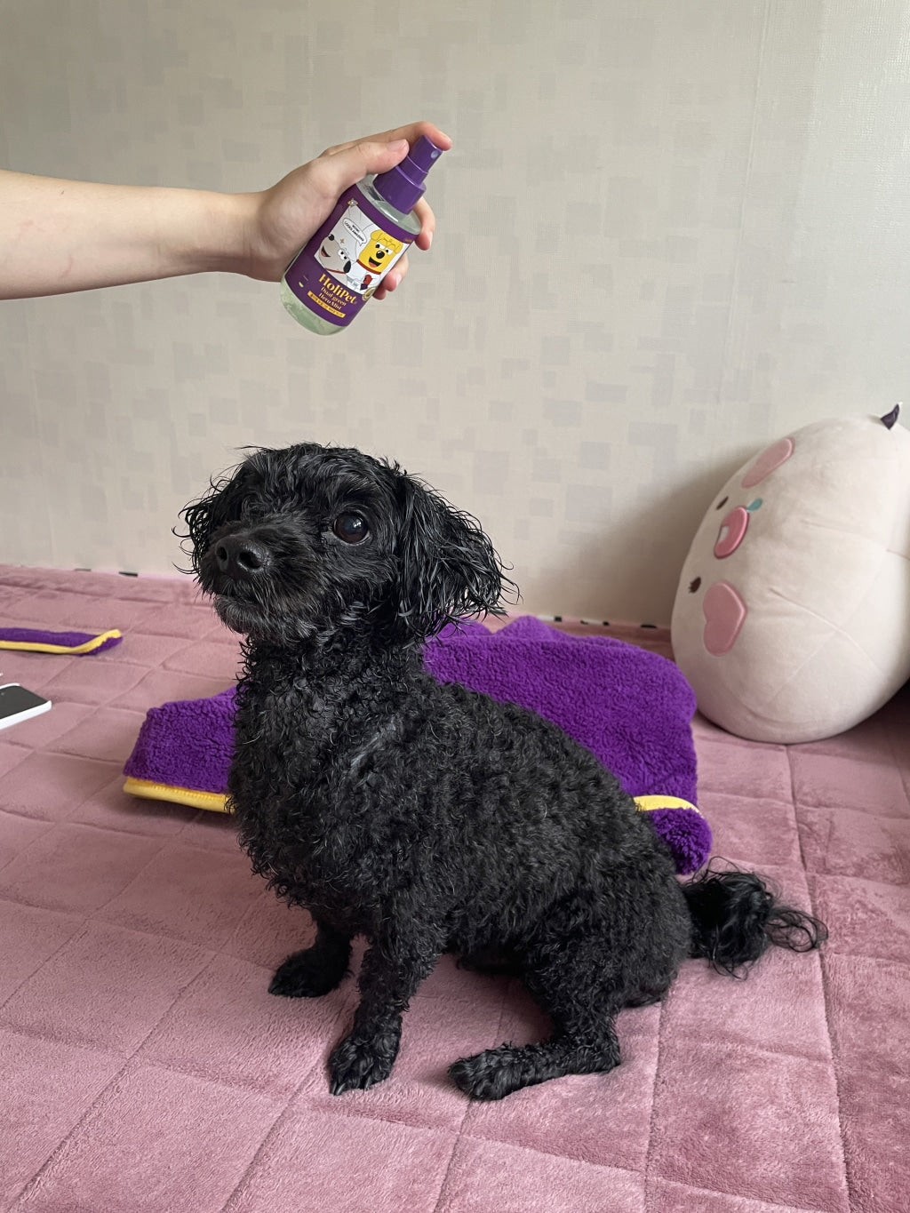 HoliPet Dual Green Hero Mist